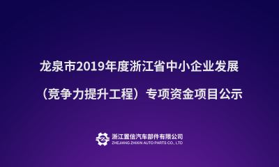 龙泉市2019年度浙江省中小企业发展（竞争力提升工程）专项资金项目公示