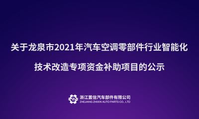 关于龙泉市2021年汽车空调零部件行业智能化技术改造专项资金补助项目的公示