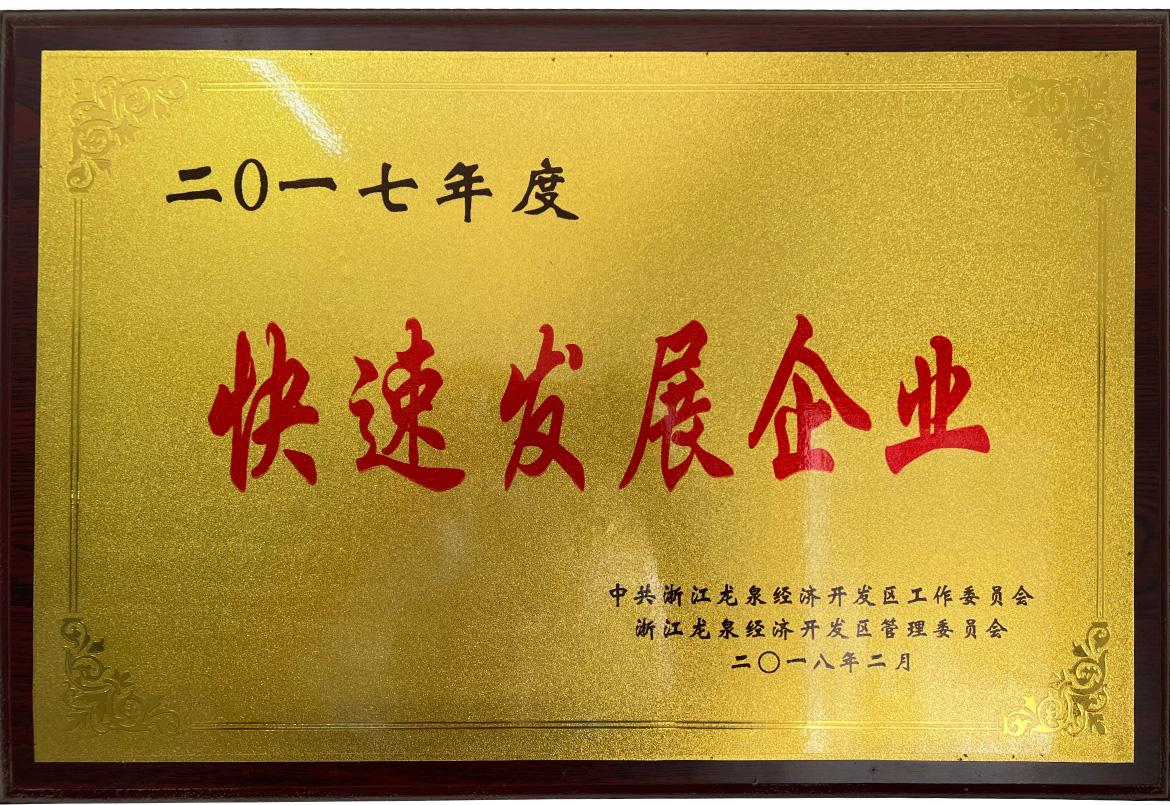 快速发展企业