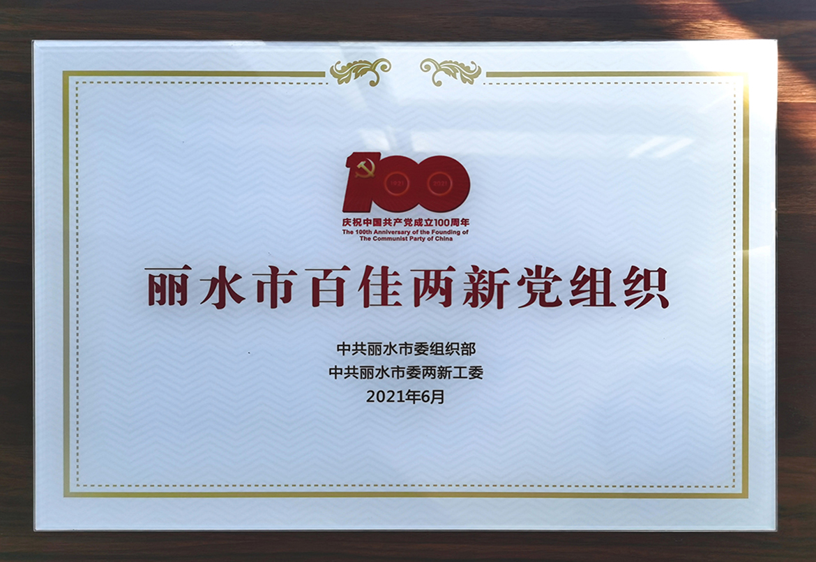 麗水市百佳兩新黨組織