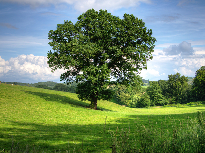 "Ten must know" and "Ten in place" for environmental management