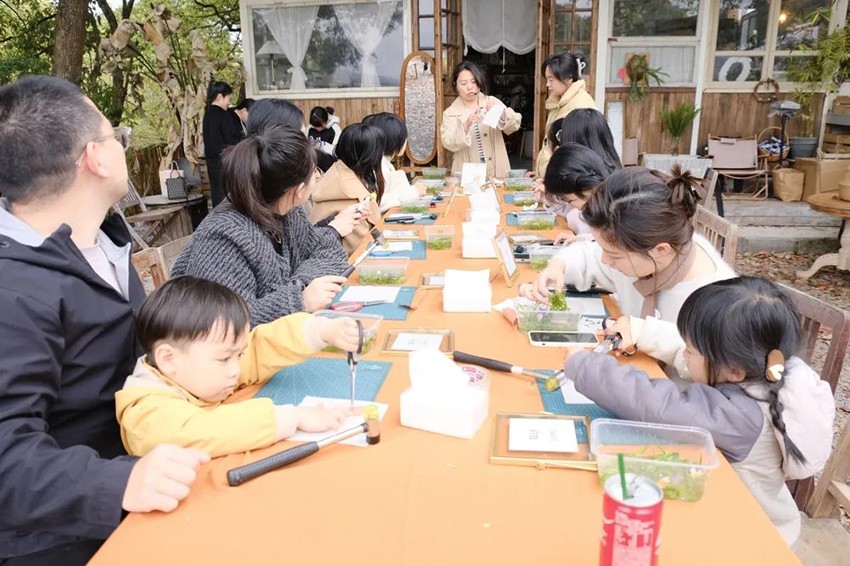 浙江万申佳律师事务所