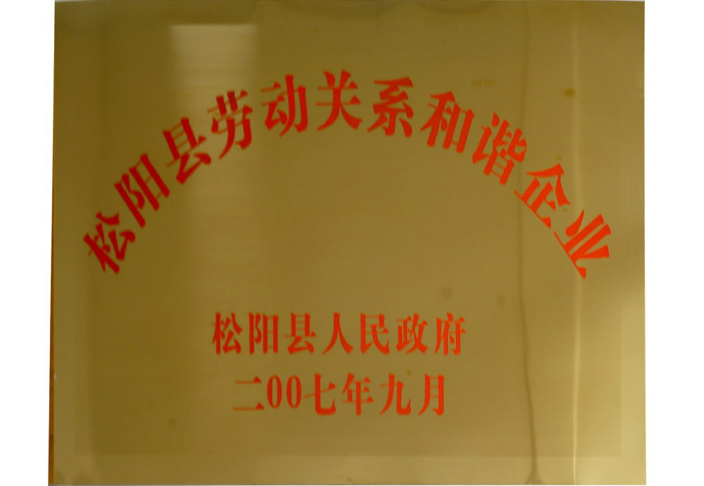 2007年勞動(dòng)關(guān)系和諧企業(yè)