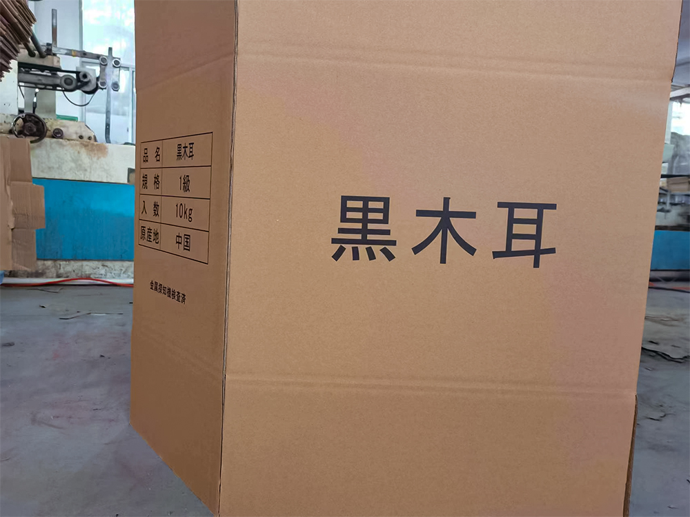紙箱