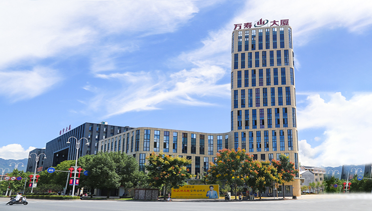 与松阳县第三建筑工程有限公司重组合并，成立浙江万寿建筑工程有限公司（房屋建筑施工总承包叁级资质）