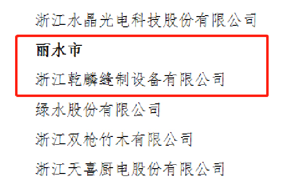 入选2019年浙江省隐形冠军企业名单 (2).jpg