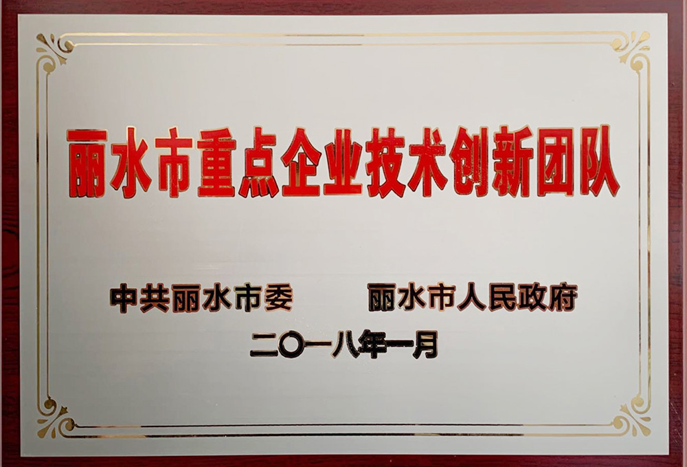 雨水市重點(diǎn)企業(yè)技術(shù)創(chuàng)新團(tuán)隊(duì)