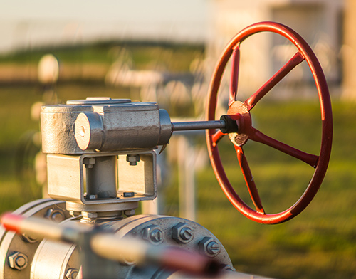 What are the common types of valves?