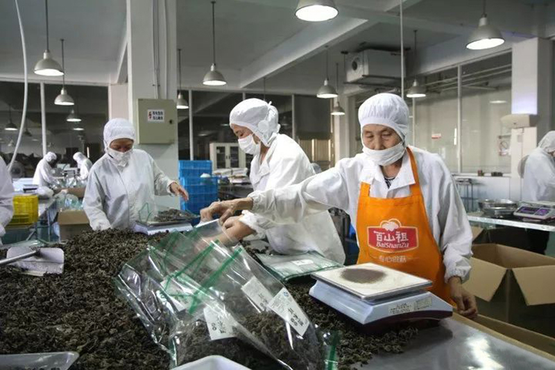 庆元食用菌产业发展现状及产业提升对策