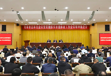 龙泉林业1.jpg