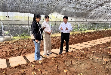 浙江龙泉山食品有限公司,灵芝孢子粉,灵芝咖啡,灵芝片,缘芝宝,黑木耳,食用菌菇,官方网站