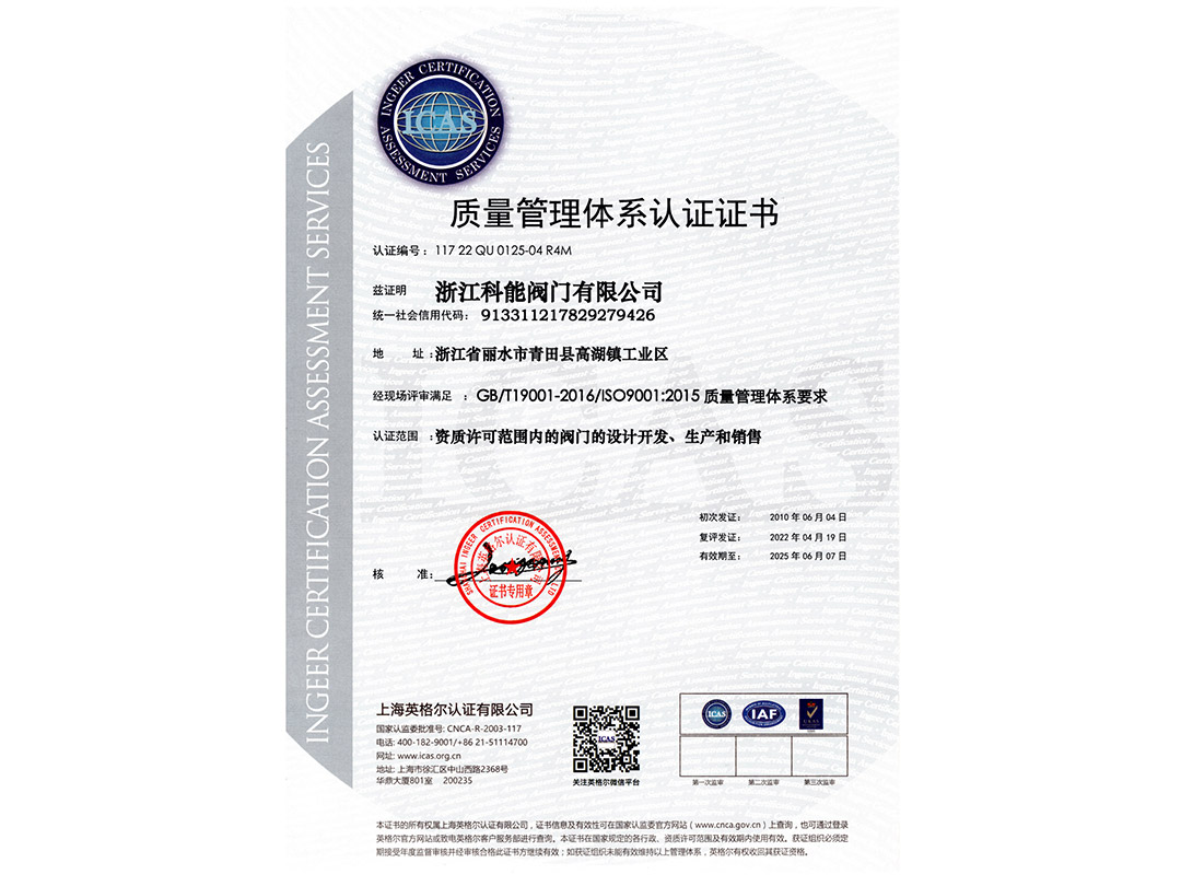 ISO9001(中文）