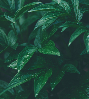 新闻.jpg 新闻.jpg