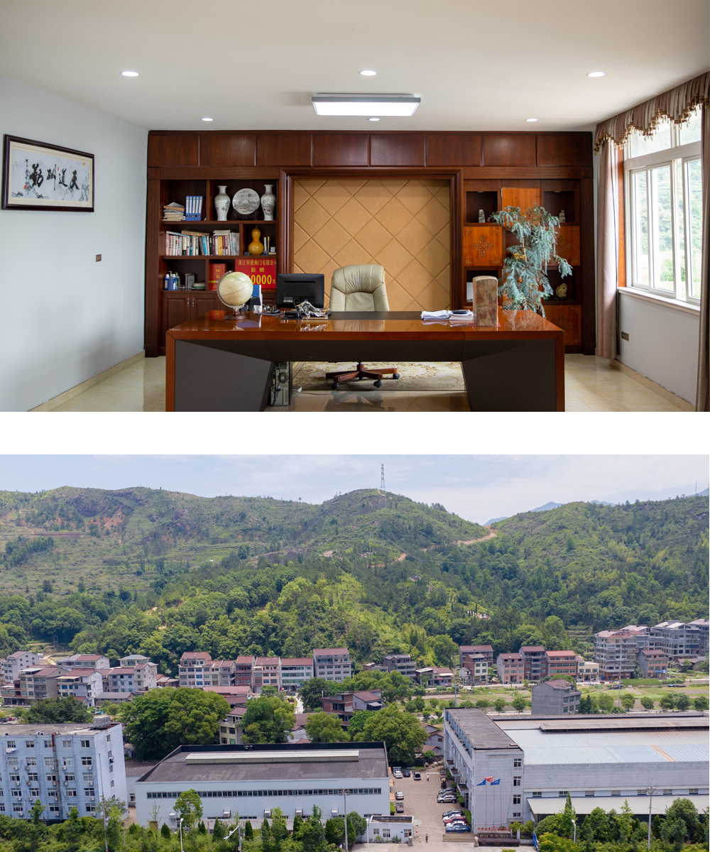 Company Profile