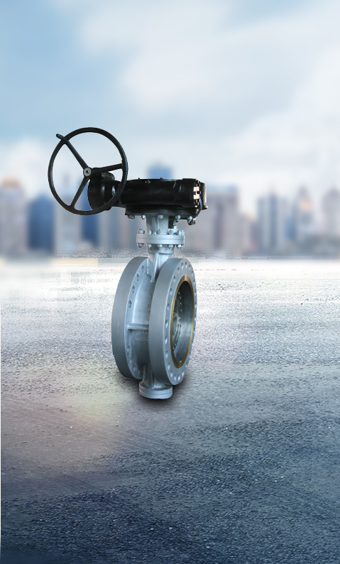 Butterfly Valve