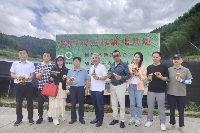 中国亚洲经济发展协会医药卫生交流合作委员会杨光林会长一行参观考察龙泉山公司上垟镇泗源村灵芝标准化基地