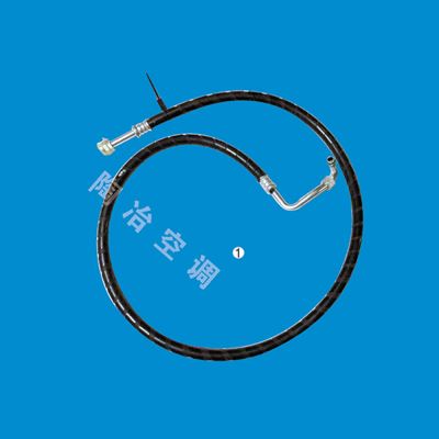 BL-大运重811BAA06000 低压