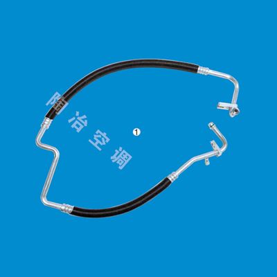 BL-大运重811BLA06000 低压