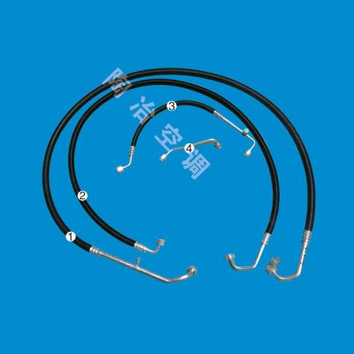 BL-0203 DL DELONG BOTTOMS (EXTENDED)