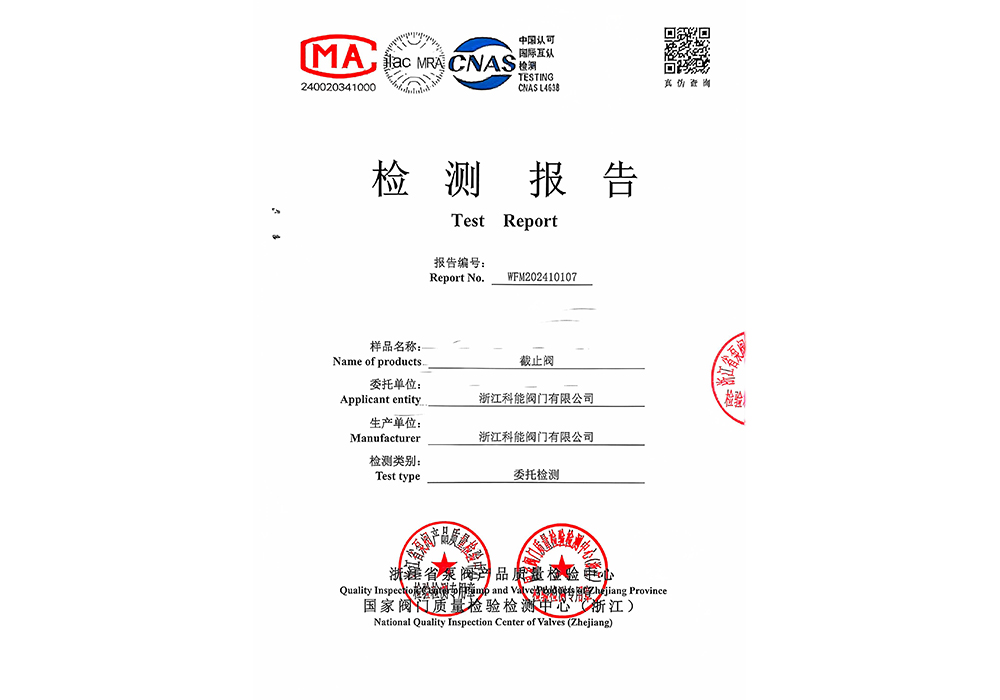 2024年10月30截止閥檢測報告