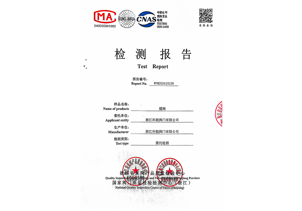 Butterfly Valve Inspection Report for October 30, 2024