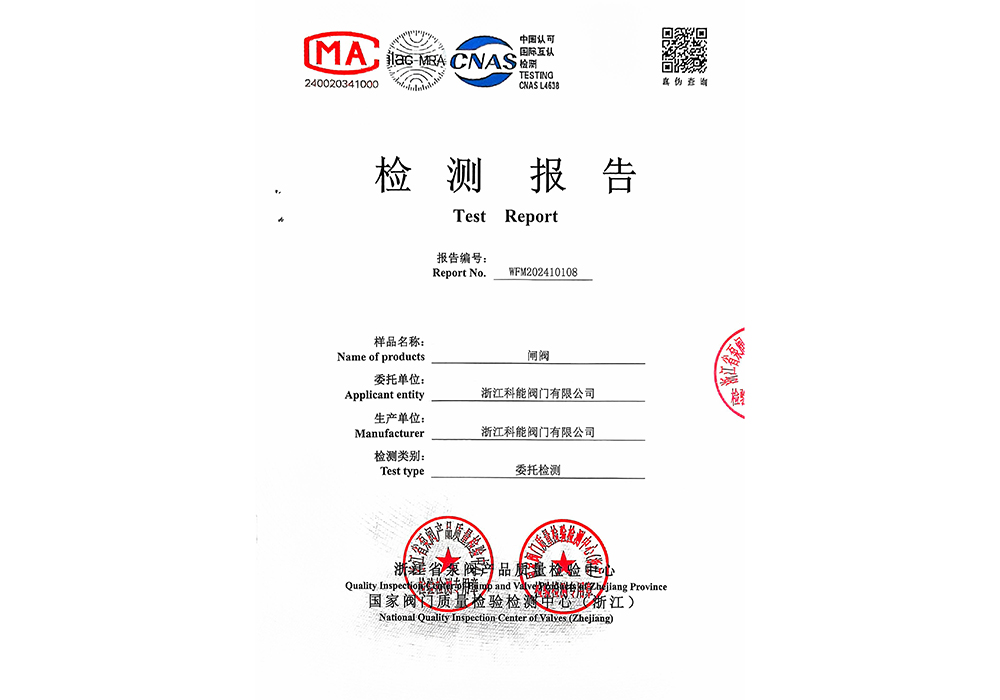 Gate Valve Inspection Report for October 30, 2024