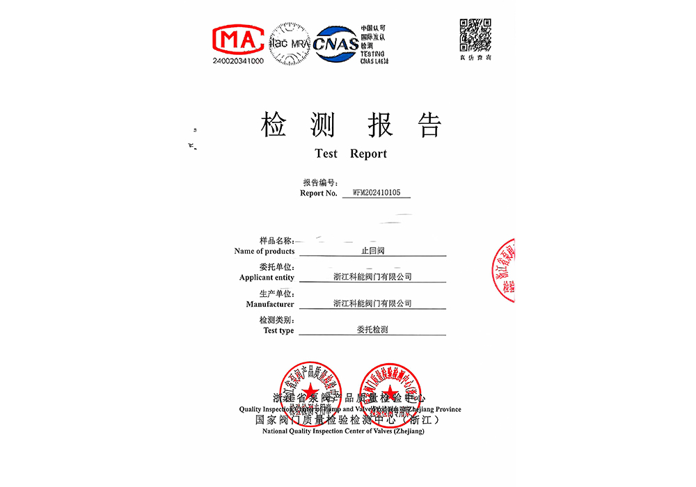 Inspection Report for Check Valve on October 30, 2024