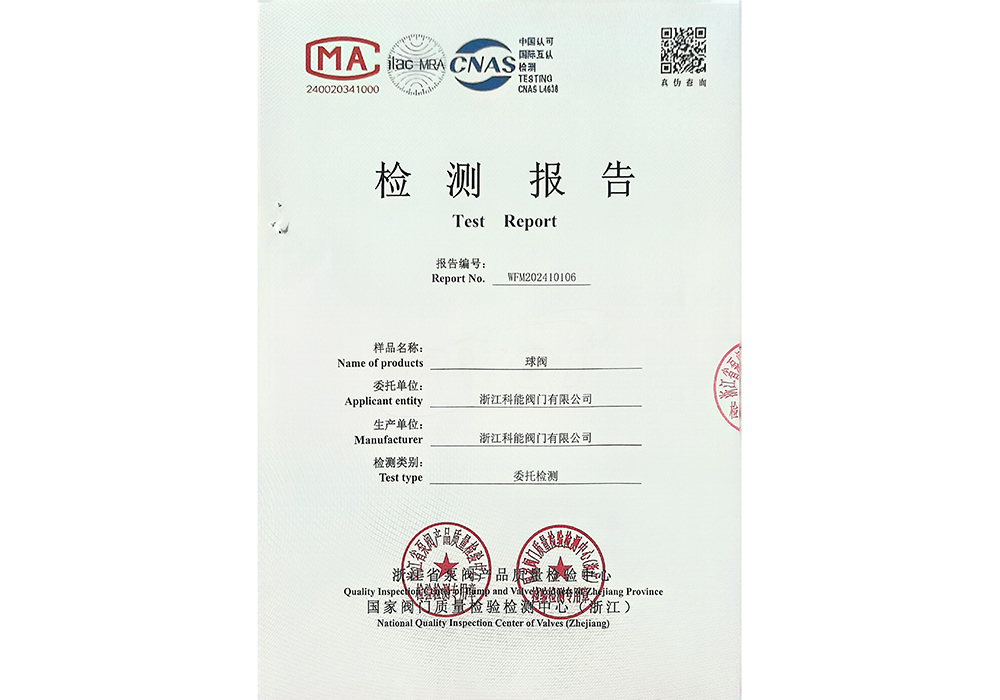 Ball Valve Inspection Report for October 30, 2024