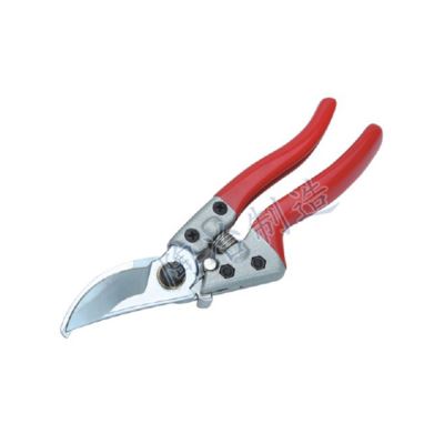 SPECIAL SCISSORS