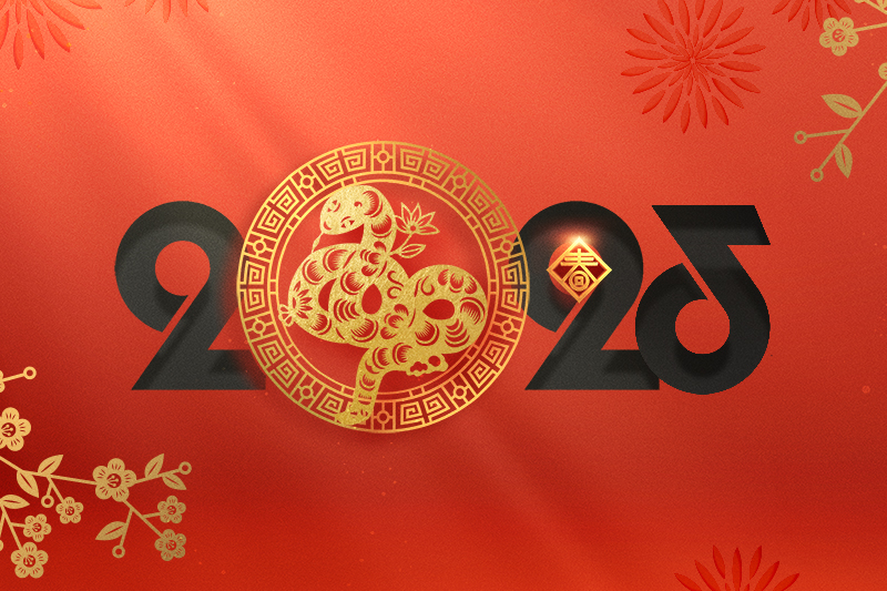 麗水市麗彩新材料科技有限公司恭祝全國人民2025年新年快樂！