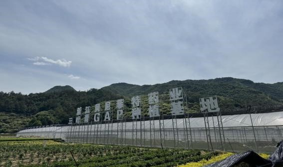 浙江屹绿农业科技有限公司.jpg