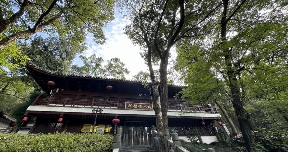 处州国医馆.jpg