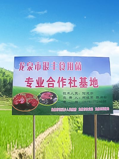 公司