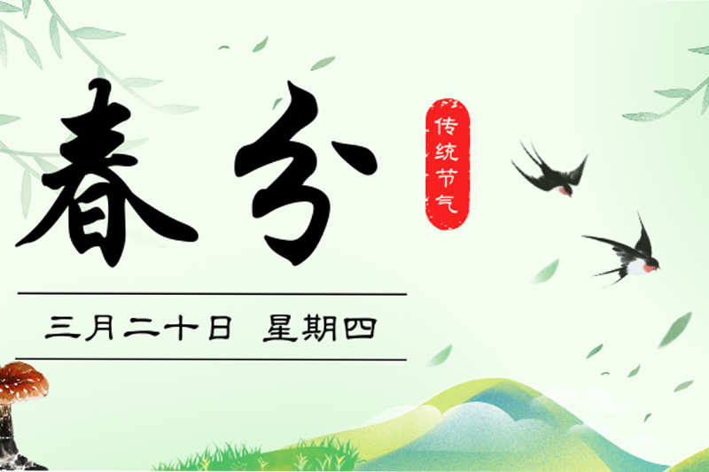 春分养正，灵芝为伴