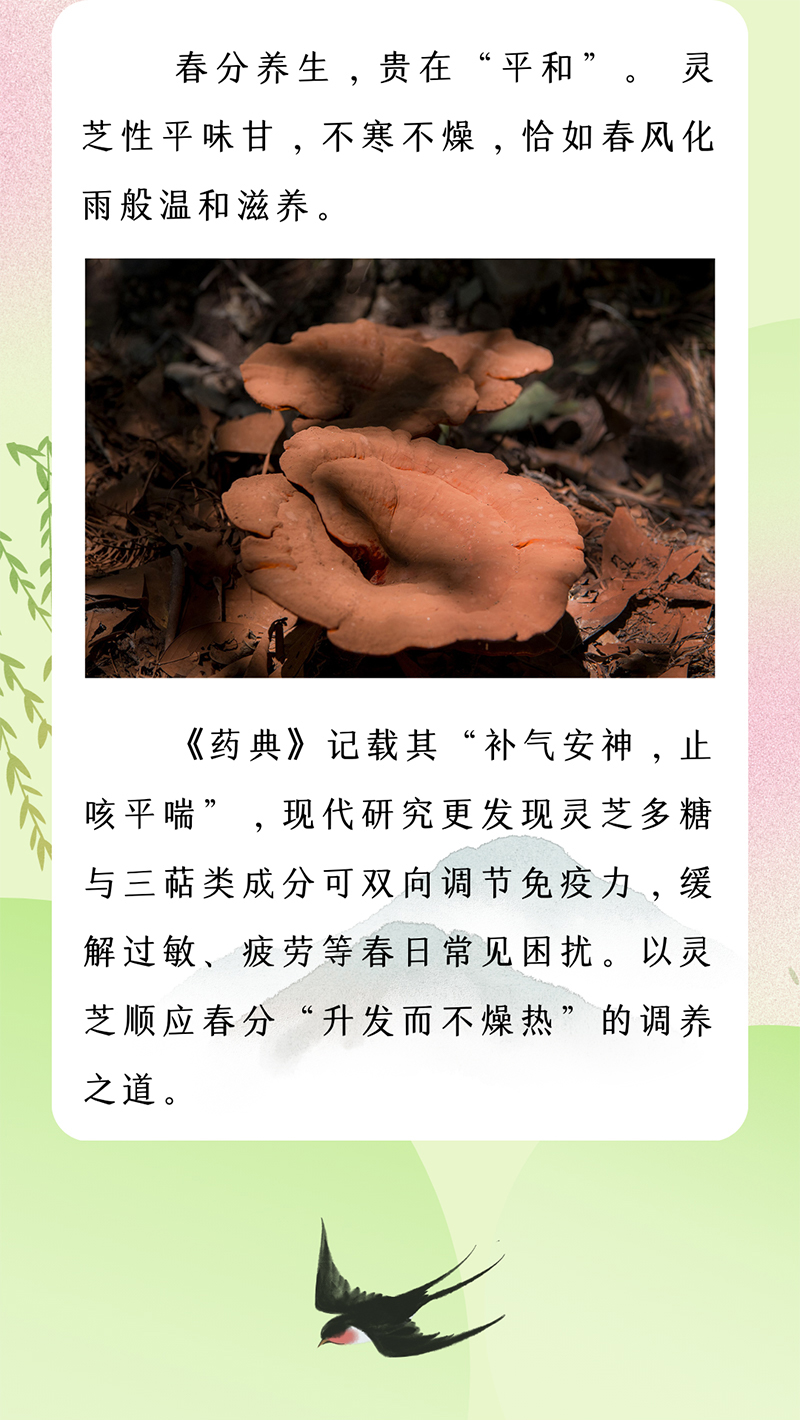 修改2.jpg