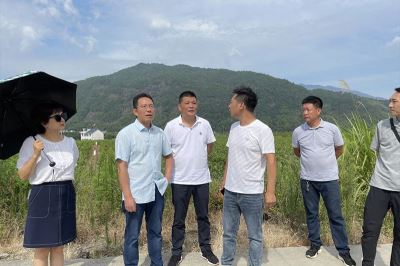 庆元县开展华侨、归侨、侨眷权益保护和侨界投身“地瓜经济”发展工作调研