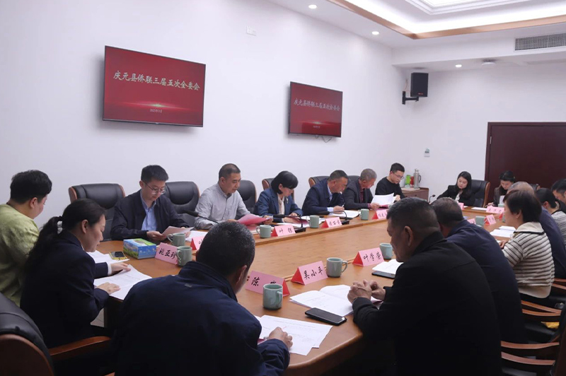 基层动态丨庆元县侨联召开三届五次全委会议 选举产生县侨联第三届委员会主席