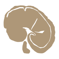 灵芝 (1).png