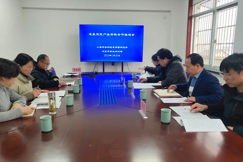 上海市农科院食用菌所专家团队赴龙泉市深化相助 助推龙泉灵芝工业高质量生长
