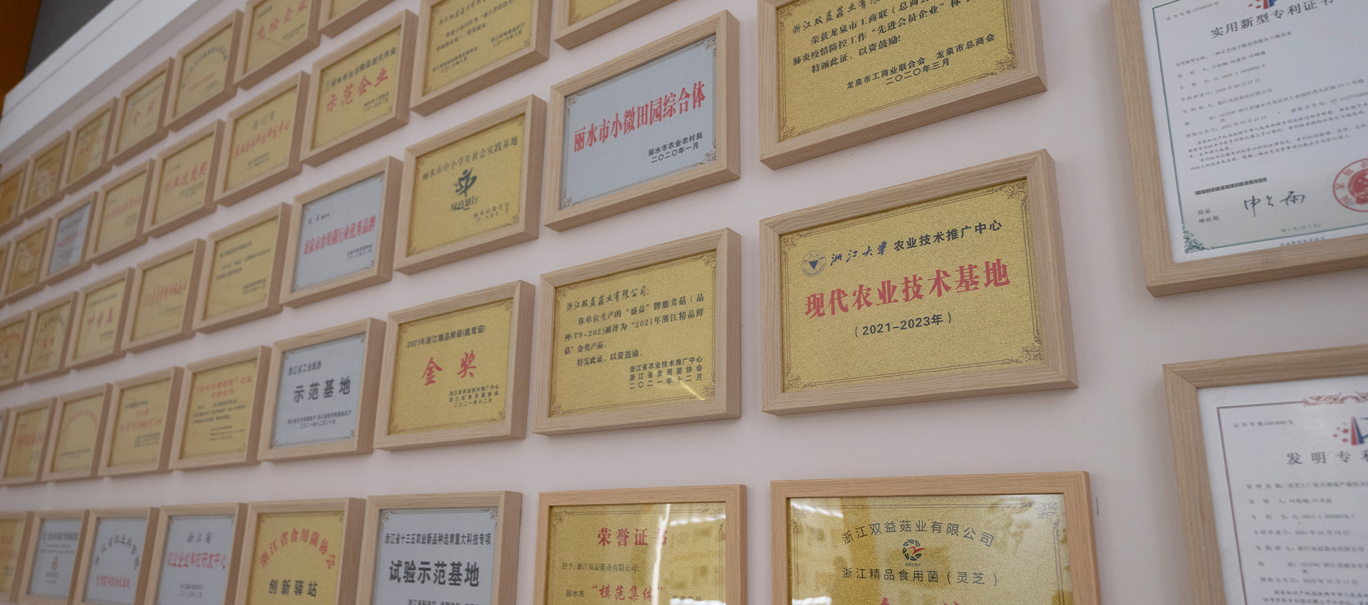 腾博汇游戏官网.jpg