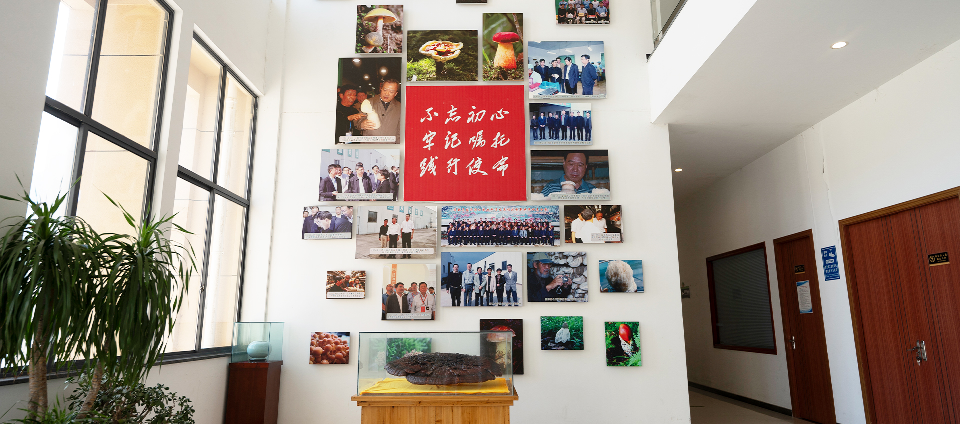 腾博汇游戏官网.jpg