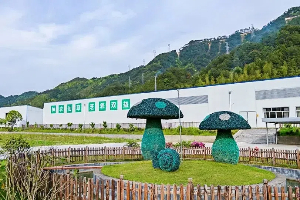 【万企兴万村】科技赋能菌菇工业 村企同筑墟落共富路