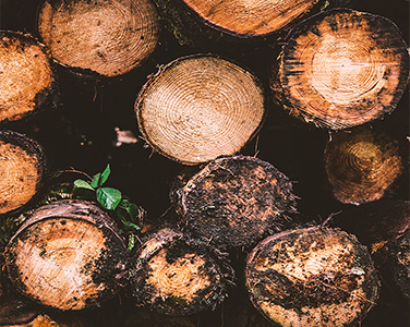 木制玩具的优点