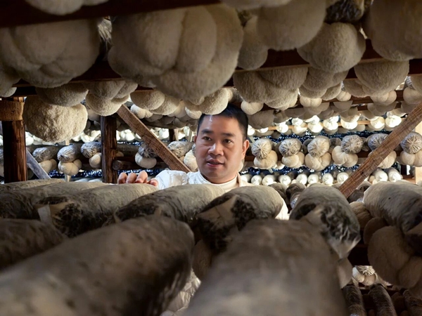 微信图片_20251201144356.jpg 微信图片_20251201144356.jpg