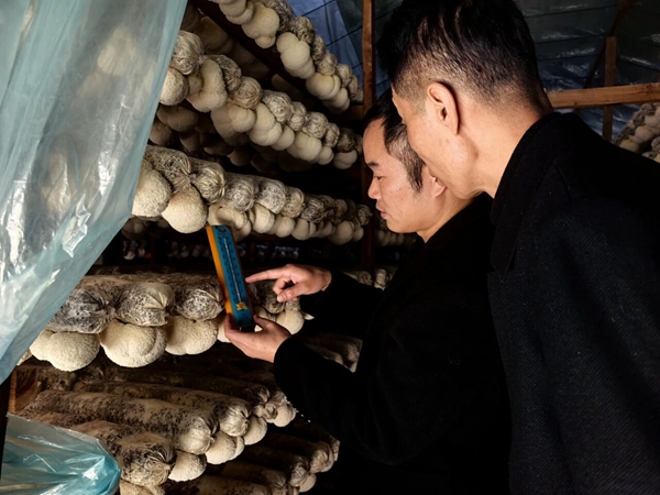 微信图片_20251201144401.jpg 微信图片_20251201144401.jpg