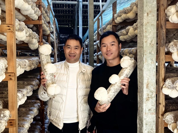 微信图片_20251201144406.jpg 微信图片_20251201144406.jpg