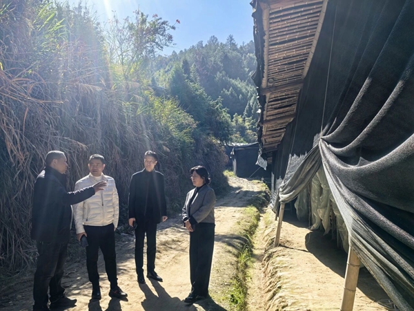 微信图片_20251201144410.jpg 微信图片_20251201144410.jpg