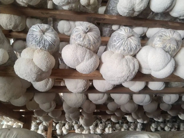 微信图片_20251201144413.jpg 微信图片_20251201144413.jpg